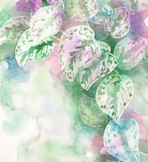 Janet Meinke-Lau CLARITY, 11X14 OPEN EDITION PRINT