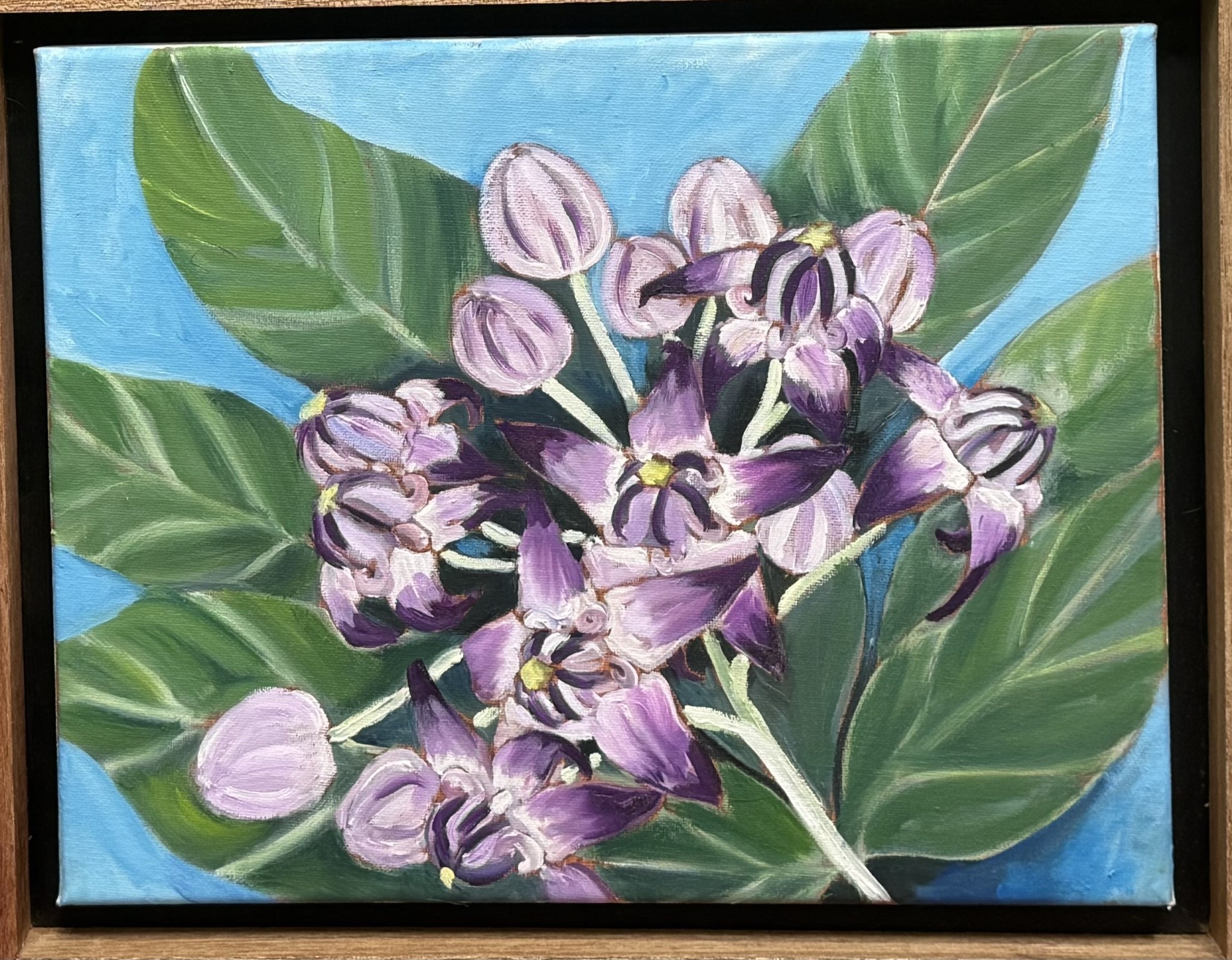 Ellen Michino CROWN FLOWER,  ORIGINAL OIL PAINTING, 11X14, FRAMED