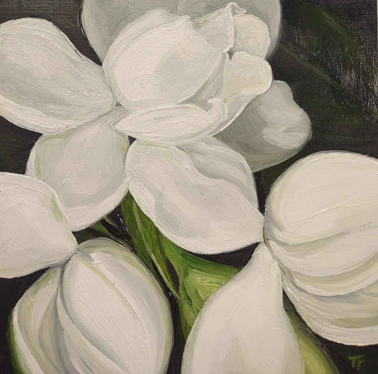 Teresa Field GARDENIAS AT NIGHT I,  8X8 ORIGINAL OIL ON CRADLED WOOD PANEL