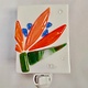 Shelly Batha NIGHT LIGHT: BIRD OF PARADISE