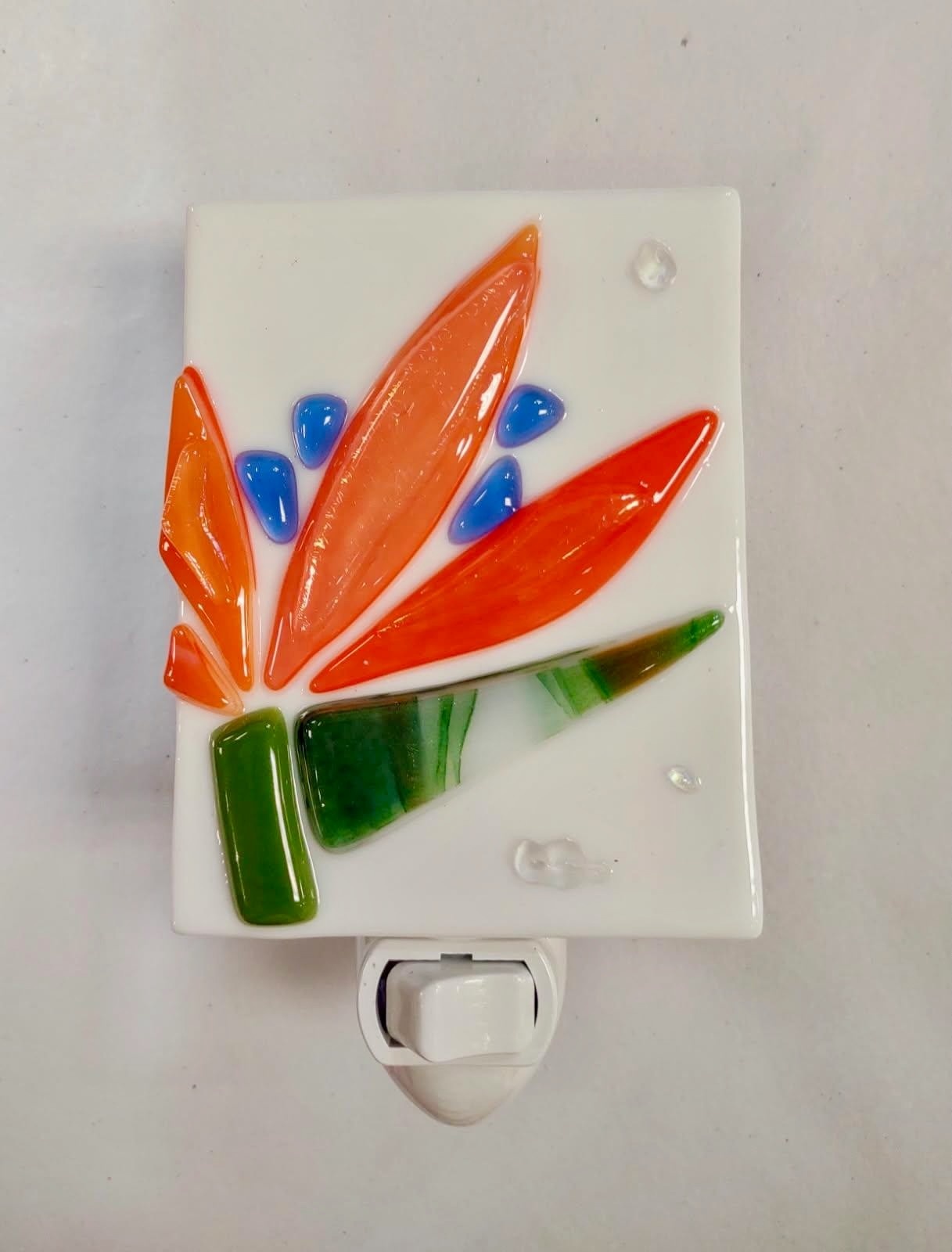 Shelly Batha NIGHT LIGHT: BIRD OF PARADISE