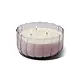 Paddywax Salted Iris Candle in Lavender Glass Vessel-12 oz.