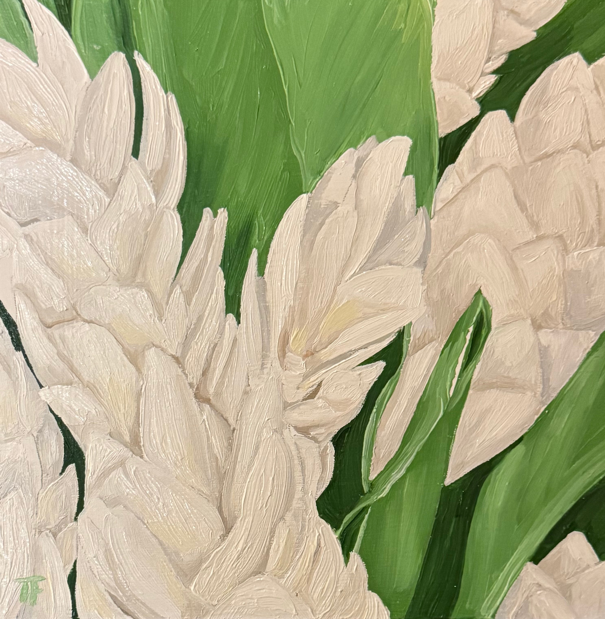 Teresa Field FRESH GINGER, 8X8 ORIGINAL OIL ON WOOD PANEL