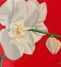 Teresa Field ORCHIDS ON RED II, 8X8 ORIGINAL OIL ON WOOD PANEL