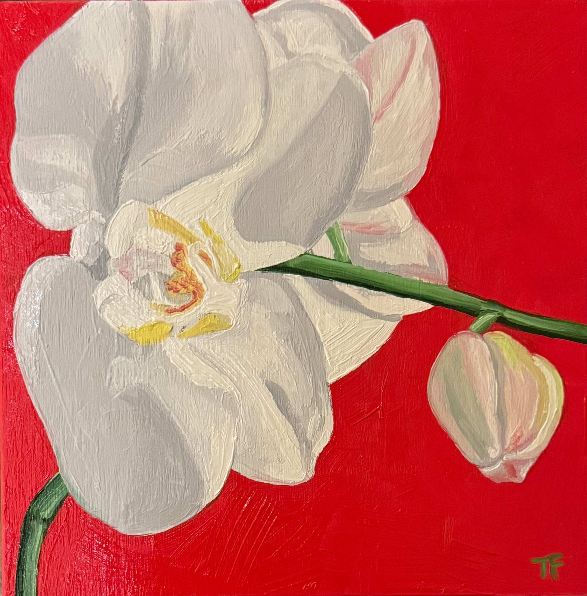Teresa Field ORCHIDS ON RED II, 8X8 ORIGINAL OIL ON WOOD PANEL