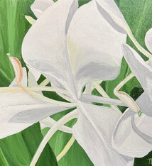 Teresa Field WHITE GINGER IN SUNLIGHT VI, 8X8 ORIGINAL OIL ON WOOD PANEL