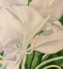 Teresa Field WHITE GINGER IN SUNLIGHT VIII, 8X8 ORIGINAL OIL ON WOOD PANEL