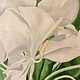 Teresa Field WHITE GINGER IN SUNLIGHT VIII, 8X8 ORIGINAL OIL ON WOOD PANEL