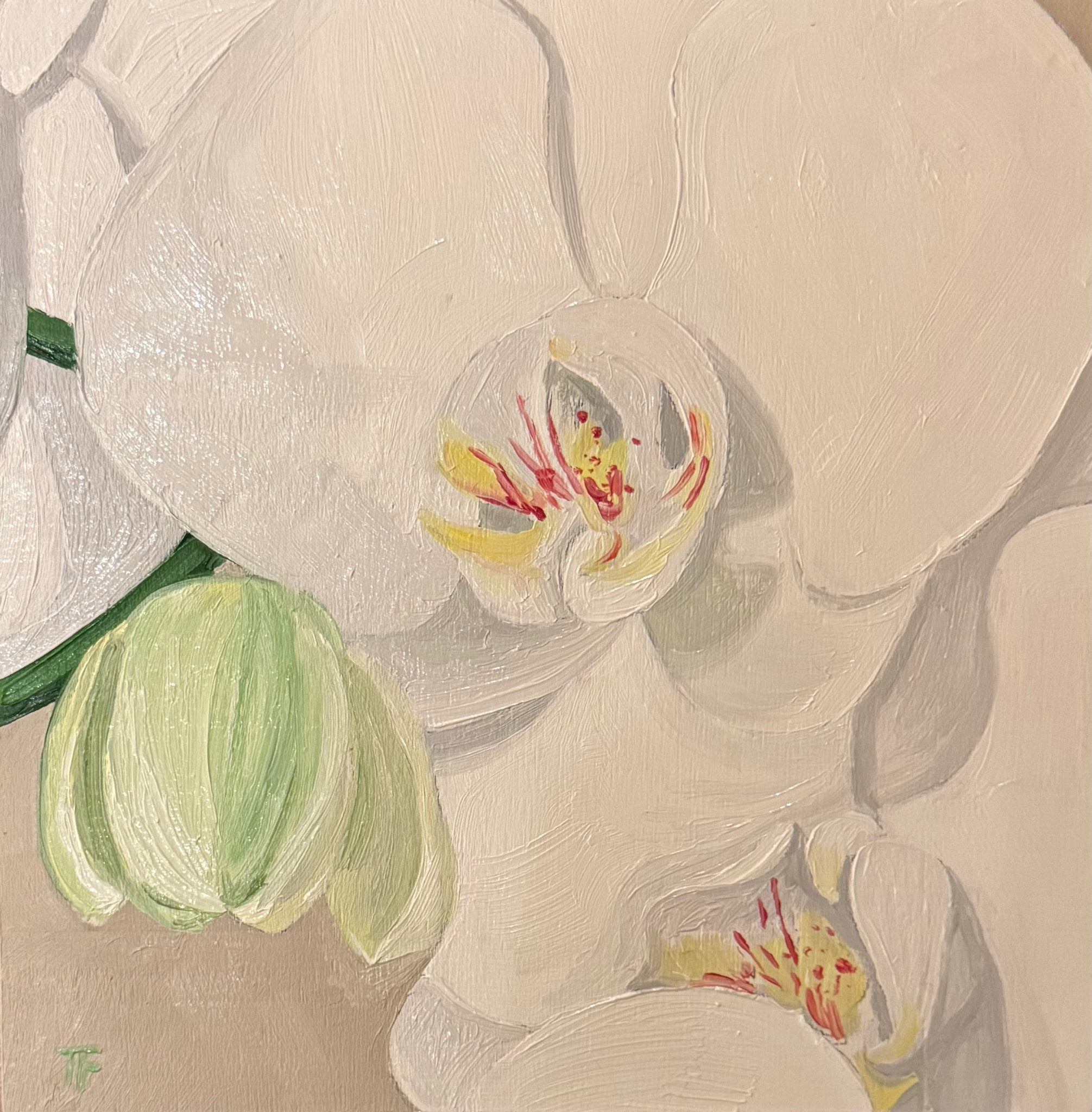 Teresa Field WHITE ORCHIDS IV, 8X8 ORIGINAL OIL ON WOOD PANEL