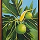 Ellen Michino ULU, ORIGINAL OIL PAINTING 11X14 FRAMED