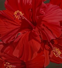 Teresa Field RED HIBISCUS V, 36X36 ORIGINAL OIL ON CANVAS GALLERY WRAP