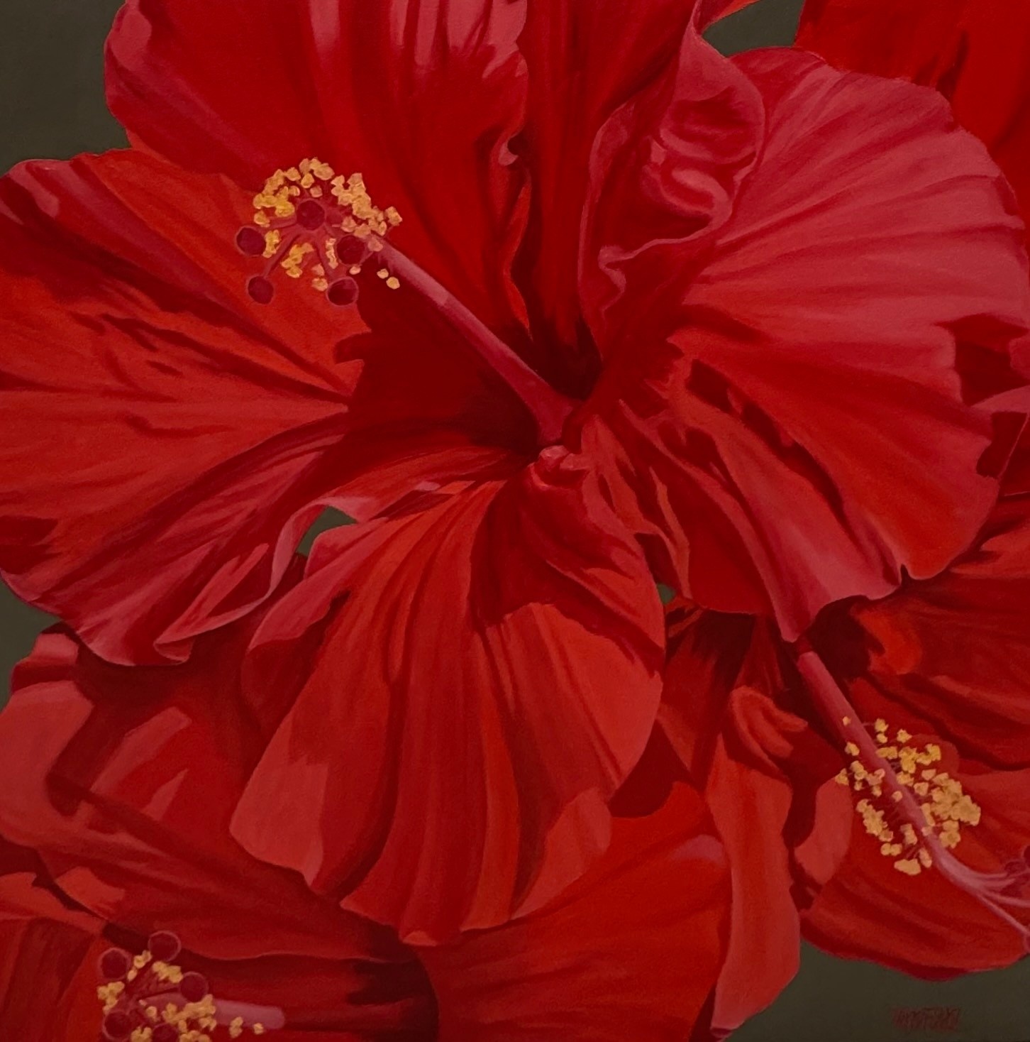 Teresa Field RED HIBISCUS V, 36X36 ORIGINAL OIL ON CANVAS GALLERY WRAP