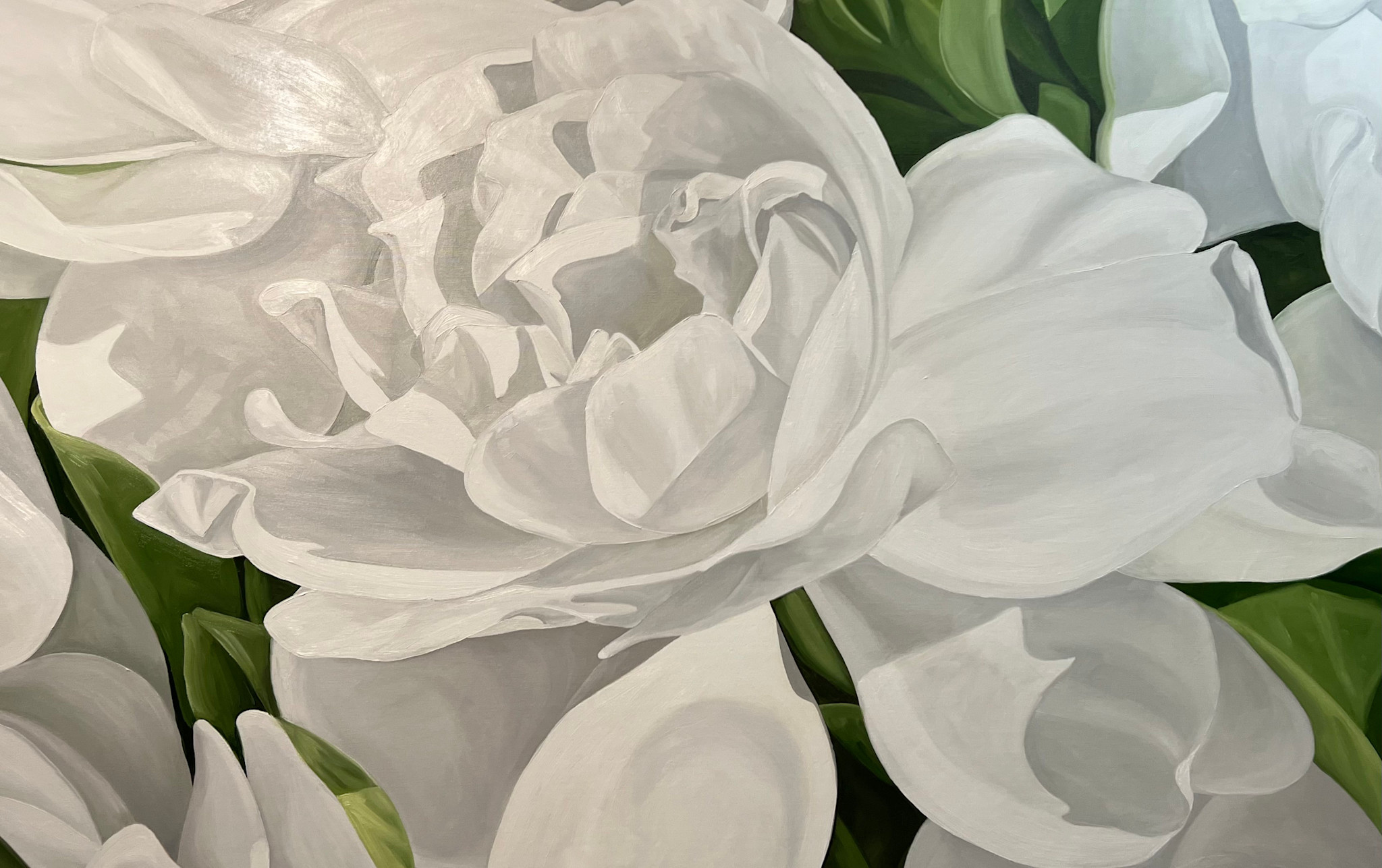 Teresa Field GARDENIAS IN SUNLIGHT IV, 54X34 ORIGINAL OIL ON CANVAS GALLERY WRAP