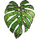 Clyde Oishi MONSTERA STAINED GLASS ORNAMENT, APPROX. 5"X4"