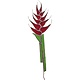 Clyde Oishi Individual Stained Glass Flower Stem: HELICONIA