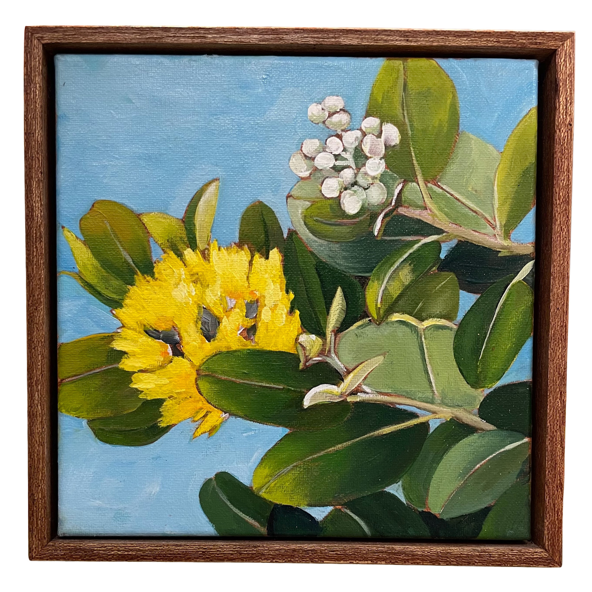 Ellen Michino YELLOW LEHUA, 8X8 ORIGINAL OIL PAINTING FRAMED