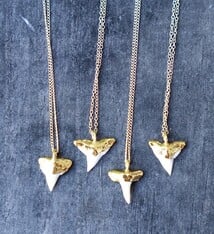 Rise Jewelry SHARK TOOTH NECKLACE