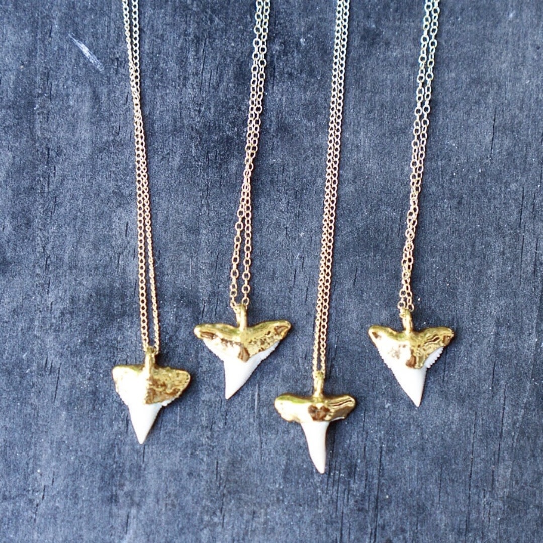 Rise Jewelry SHARK TOOTH NECKLACE