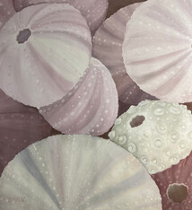 Teresa Field Sea Urchins IV, 36”x36” oil on canvas