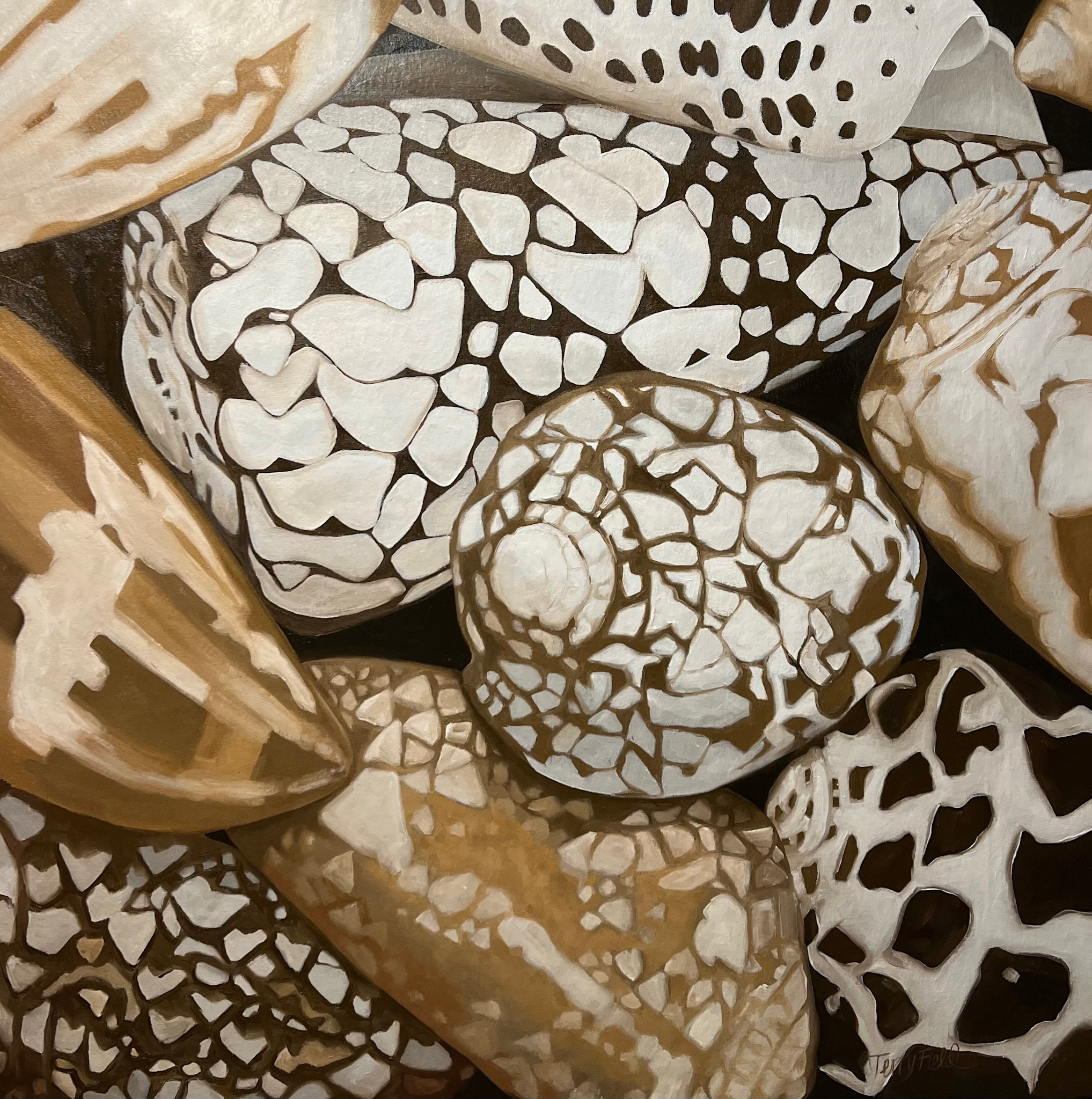 Teresa Field Island Shells, 36”x36” oil on canvas