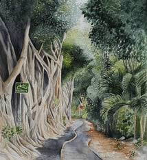 Kirsten Larimer Pupukea Bike Path – Original Watercolor (11x14, 16x20 Framed) by O‘ahu Artist Kirsten Larimer | Magnolia Hawaii