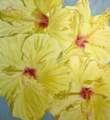 Teresa Field Yellow HIbiscus, 36”x36” oil on canvas