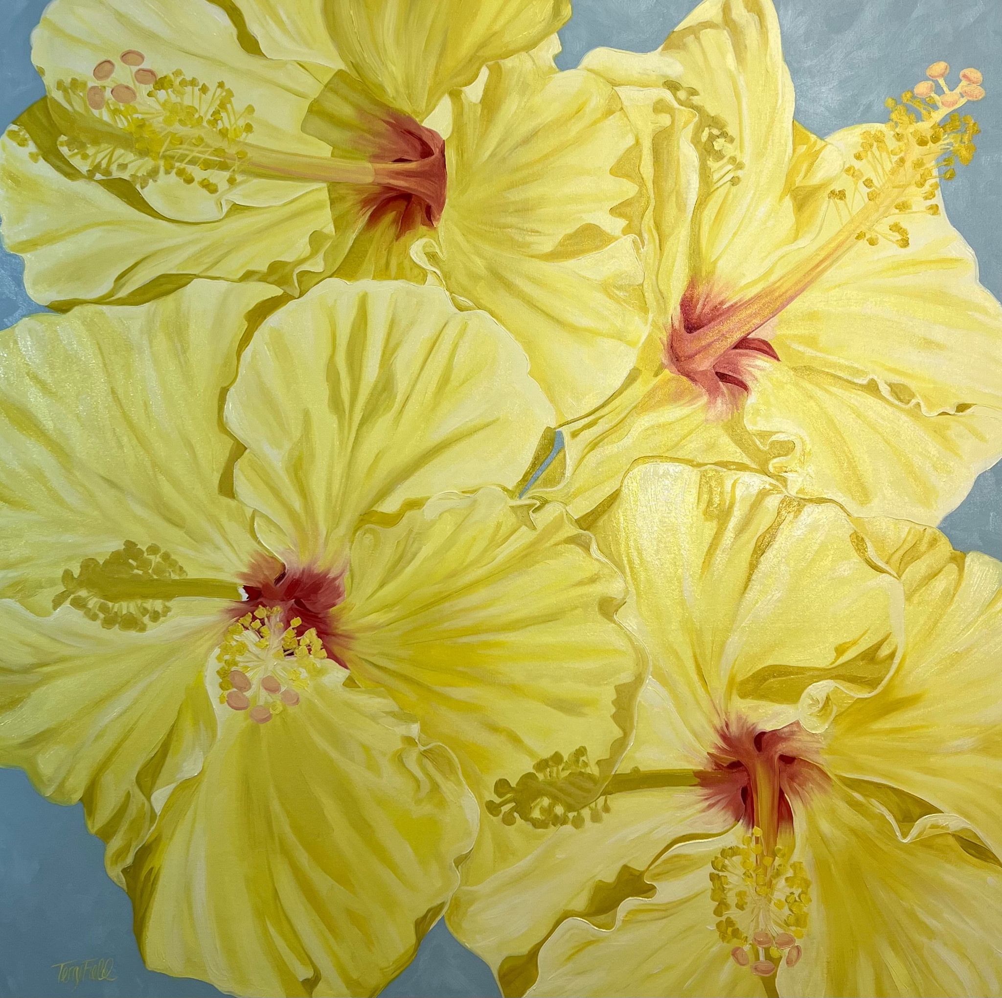 Teresa Field Yellow HIbiscus, 36”x36” oil on canvas