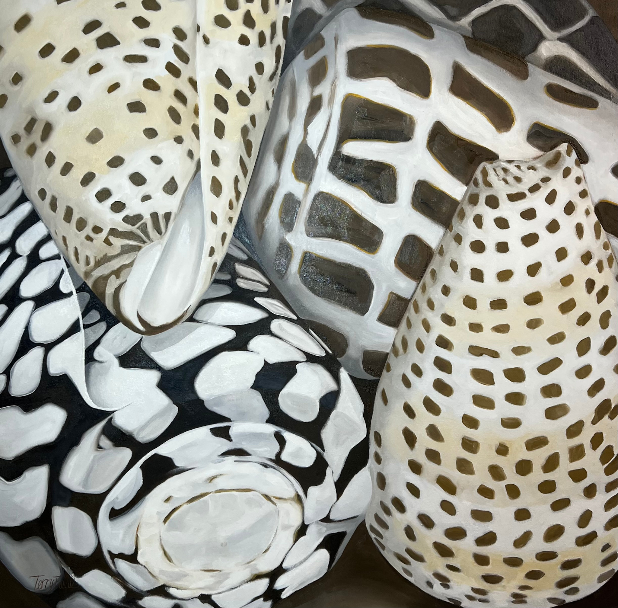 Teresa Field Island Shells II, 36”x36” oil on canvas