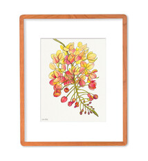 Ewa Mosc Rainbow Shower Bloom – Framed Original Watercolor & Acrylic by Ewa Mosc | Magnolia Hawaii