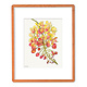 Ewa Mosc Rainbow Shower Bloom – Framed Original Watercolor & Acrylic by Ewa Mosc | Magnolia Hawaii