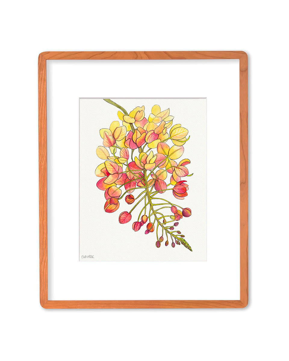 Ewa Mosc Rainbow Shower Bloom – Framed Original Watercolor & Acrylic by Ewa Mosc | Magnolia Hawaii