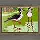 Gary Kato Hawaiian Stilts – Framed 5x7 Original Acrylic Painting by Gary Kato | Magnolia Hawaii