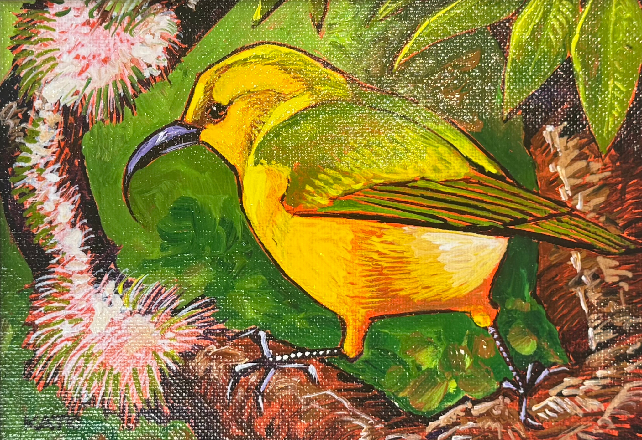 Gary Kato Akiapolaʻau – Framed 5x7 Original Acrylic Painting by Gary Kato | Magnolia Hawaii