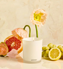 Apotheke Sea Salt Grapefruit Classic Candle