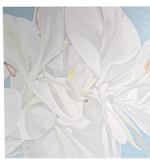 Teresa Field White Ginger on Blue IV – 36x36 Original Oil Painting by Terry Field