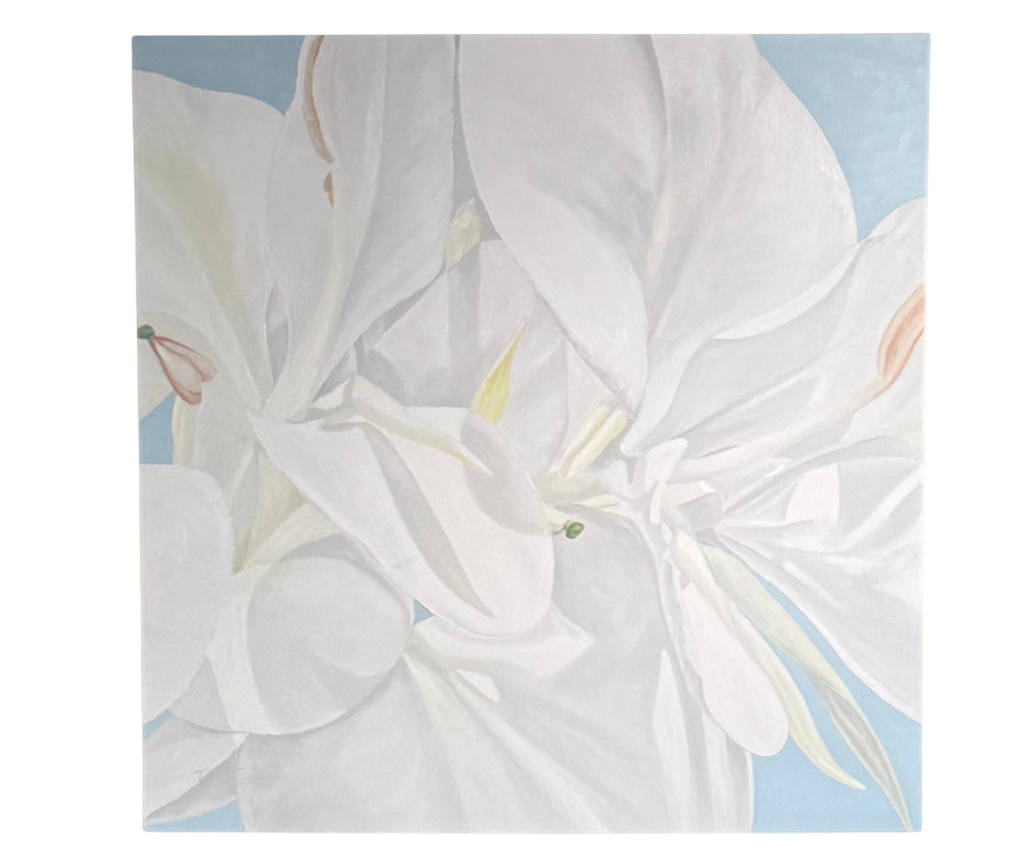 Teresa Field White Ginger on Blue IV – 36x36 Original Oil Painting by Terry Field