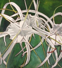 Ellen Michino WHITE SPIDER LILY, ORIGINAL OIL PAINTING 12X16 FRAMED