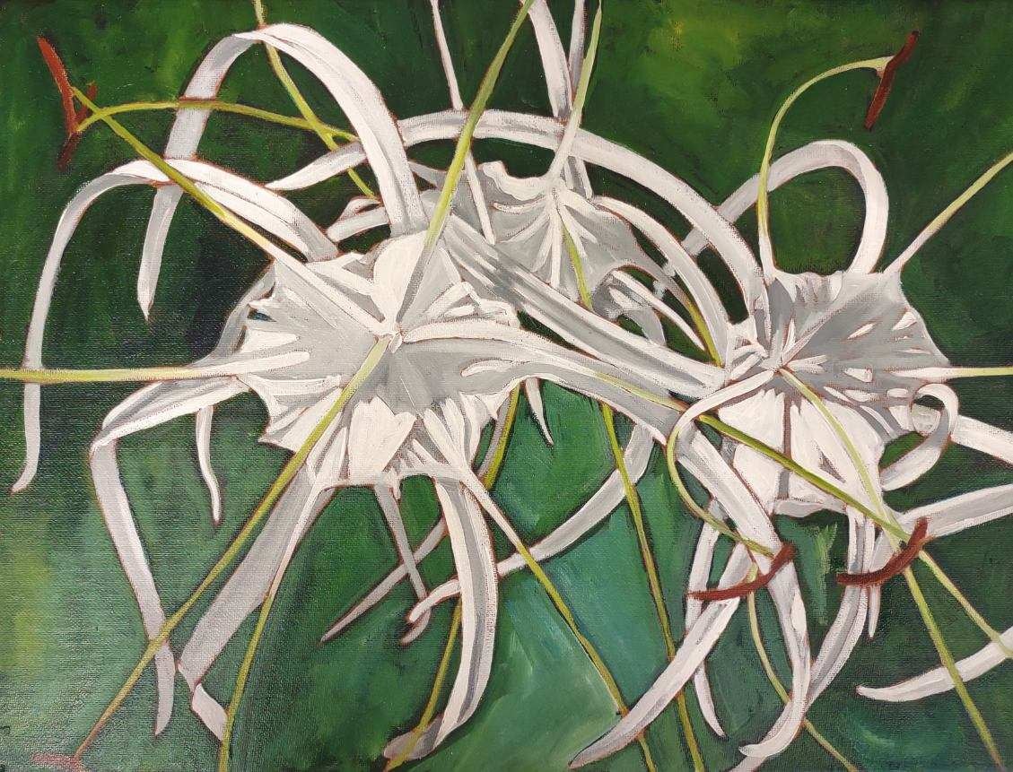Ellen Michino WHITE SPIDER LILY, ORIGINAL OIL PAINTING 12X16 FRAMED