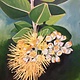 Ellen Michino YELLOW LEHUA, 11X14 ORIGINAL OIL PAINTING FRAMED