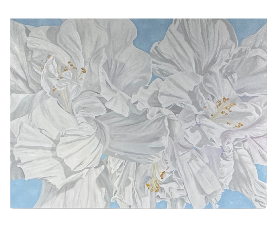 Teresa Field Double White Hibiscus II – Original Oil Painting by Terry Field (36×49 Gallery Wrap)