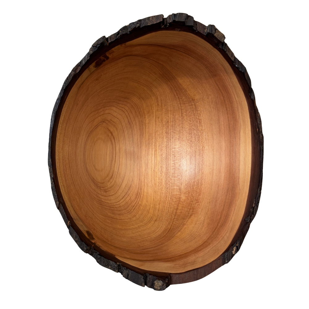 Aaron Hammer Cypress Bowl – Hand Turned by Aaron Hammer (10″)