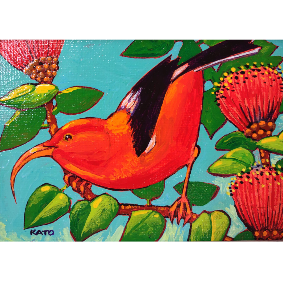 Gary Kato Iiwi 5×7 Original Acrylic Painting by Gary Kato