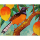 Gary Kato White-rumped Shama – Original Acrylic Painting by Gary Kato (8×10)
