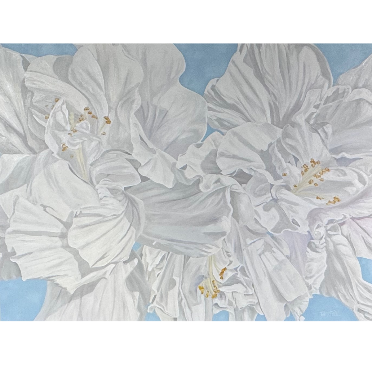 Teresa Field Double White Hibiscus II – Original Oil Painting by Terry Field (36×49 Gallery Wrap)
