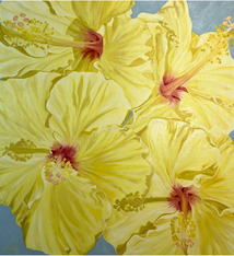 Teresa Field Yellow Hibiscus, 36”x36” oil on canvas
