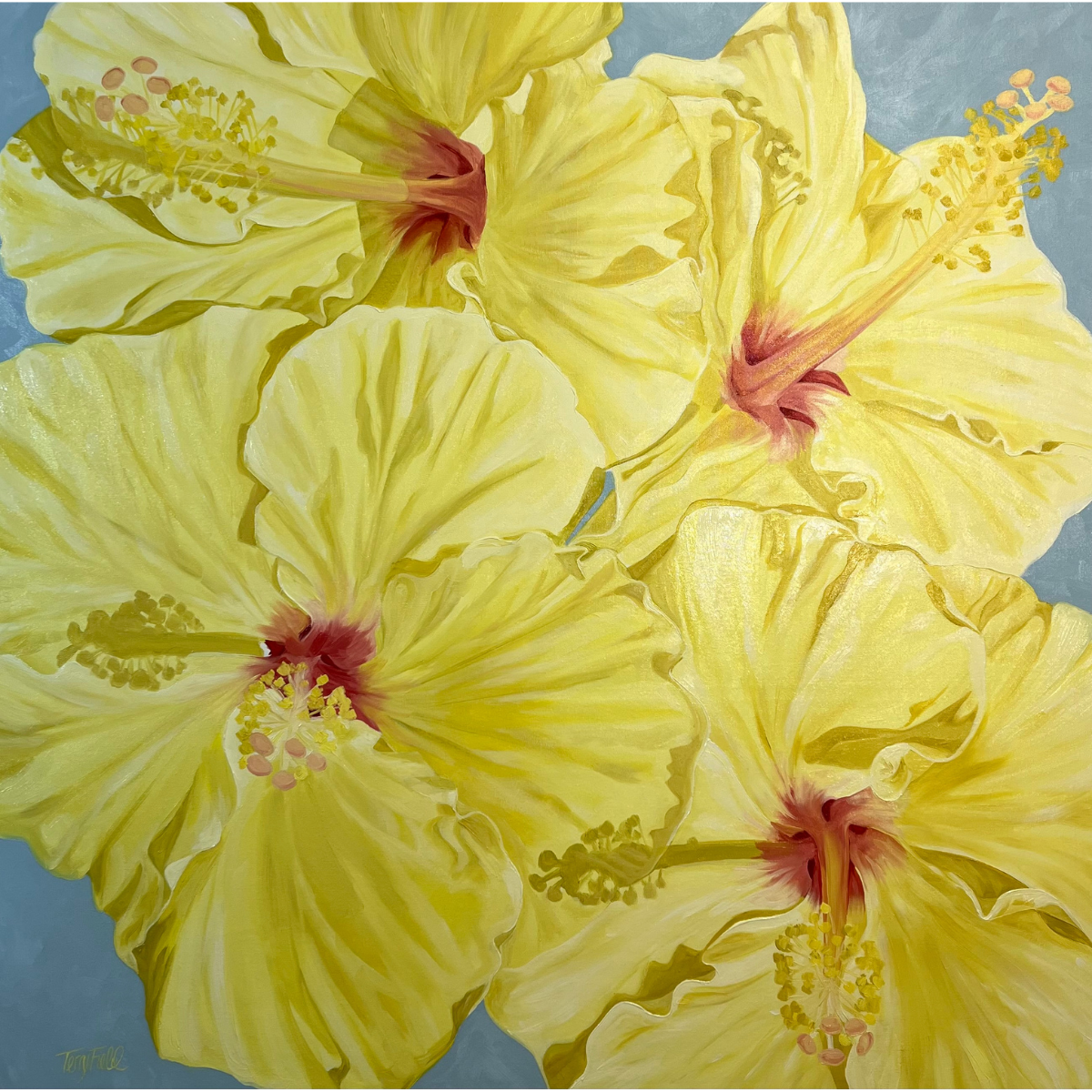 Teresa Field Yellow Hibiscus, 36”x36” oil on canvas