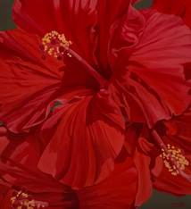Teresa Field RED HIBISCUS V, 36X36 ORIGINAL OIL ON CANVAS GALLERY WRAP