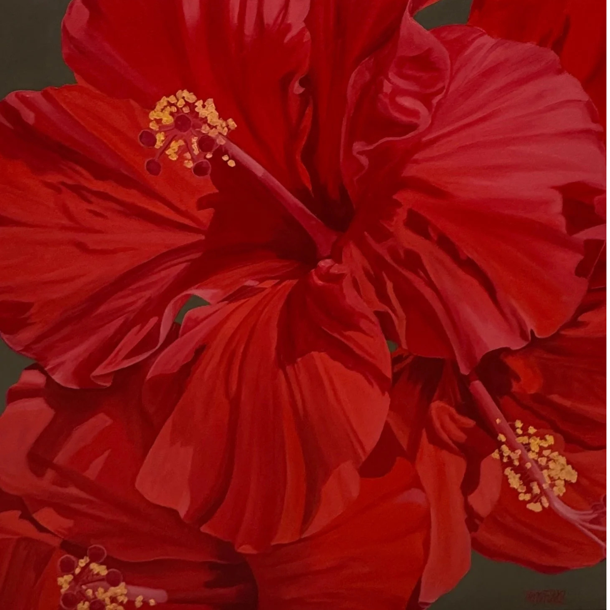 Teresa Field RED HIBISCUS V, 36X36 ORIGINAL OIL ON CANVAS GALLERY WRAP