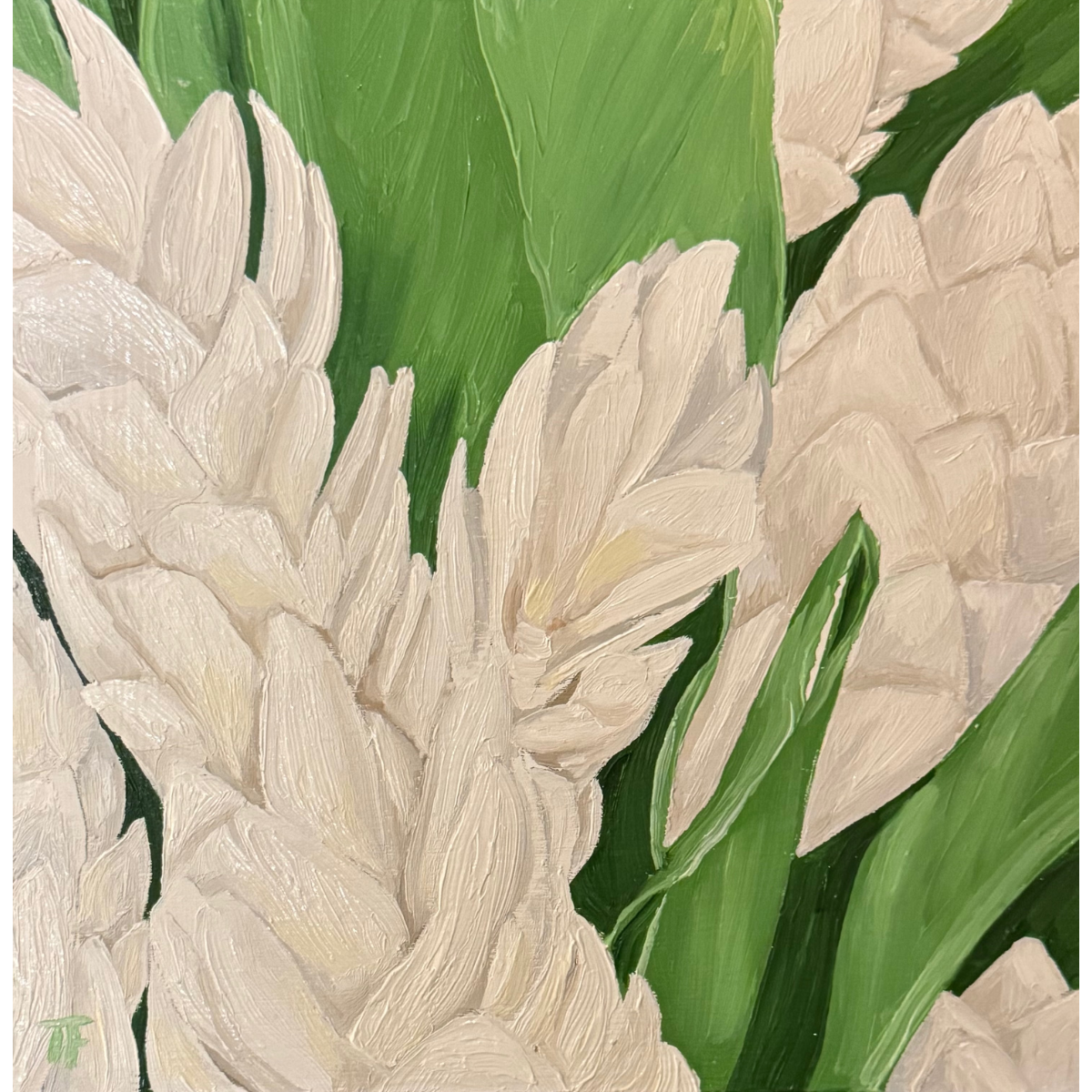 Teresa Field FRESH GINGER, 8X8 ORIGINAL OIL ON WOOD PANEL