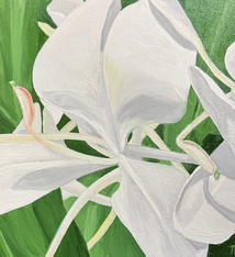 Teresa Field WHITE GINGER IN SUNLIGHT VI, 8X8 ORIGINAL OIL ON WOOD PANEL